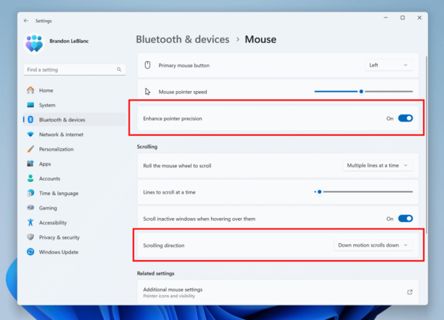 Mouse controls in Windows 11